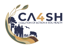 AYISD Partner 9
